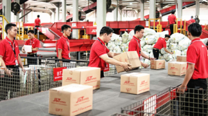 Pecahkan Rekor Global: Pengiriman Harian J&T Express Tembus 100 Juta Paket Selama Kampanye 11.11