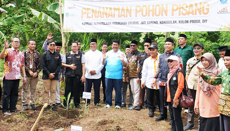 Program Ketahanan Pangan, LAZISMU Bersama MPM dan BPRS HIK MSI Realisasikan Perkebunan Pisang Kepok Kuning di Nanggulan