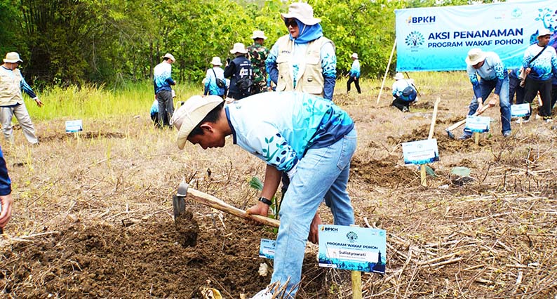 Mabrur Sepanjang Hayat, BPKH Wakaf Pohon di Gunungkidul Demi Kemaslahatan Lingkungan