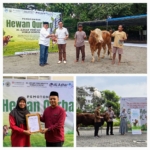 Kurban AYWS 2026 Capai Rp590 Juta, Disalurkan ke Warga dan Desa Binaan