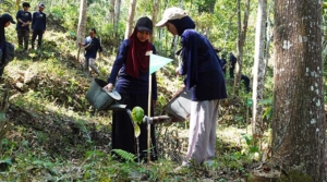 Telkomsel Jaga Bumi, Tanam 2.000 Pohon Kopi di Waduk Sermo