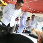 Tak Boleh Lengah Soal Status Bebas Rabies, Sleman Vaksinasi 340 Anabul Gratis