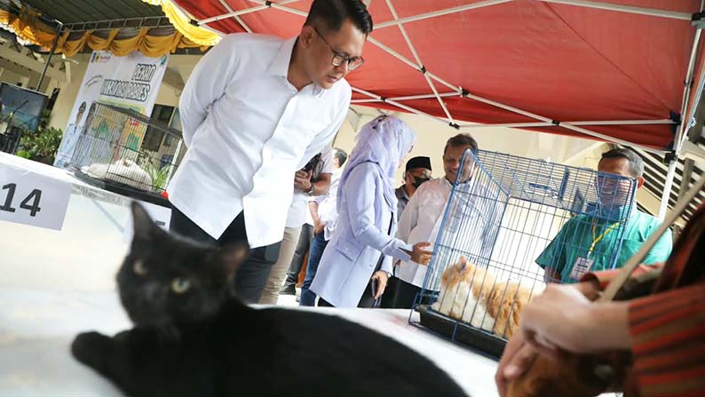 Tak Boleh Lengah Soal Status Bebas Rabies, Sleman Vaksinasi 340 Anabul Gratis