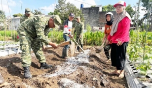 Tekan Inflasi dari Pekarangan, TNI Gandeng KWT Teratai Mekar Budi Daya Cabai Kaliber